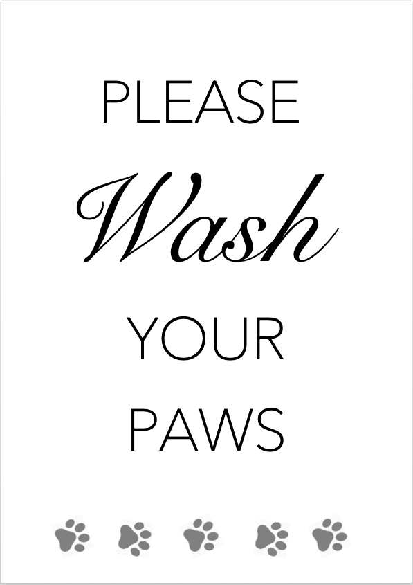 BATHROOM PRINTS: Humorous Toilet Poster Art for your Loo