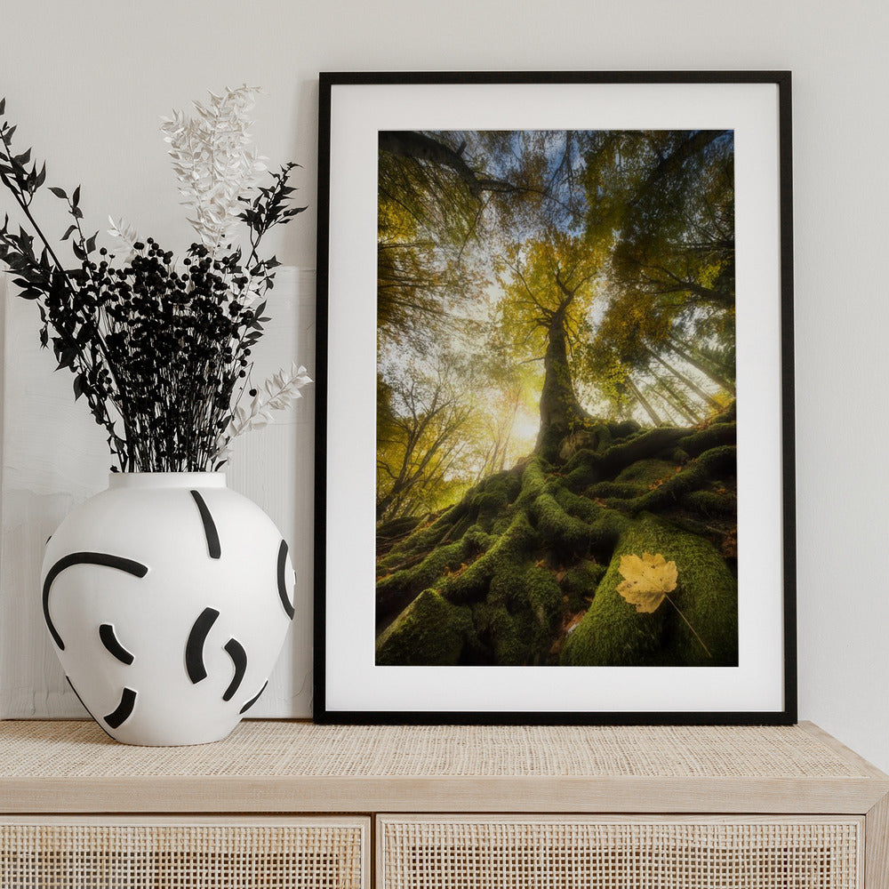 The goodbye of a leaf - Art Print by Alberto Ghizzi Panizza