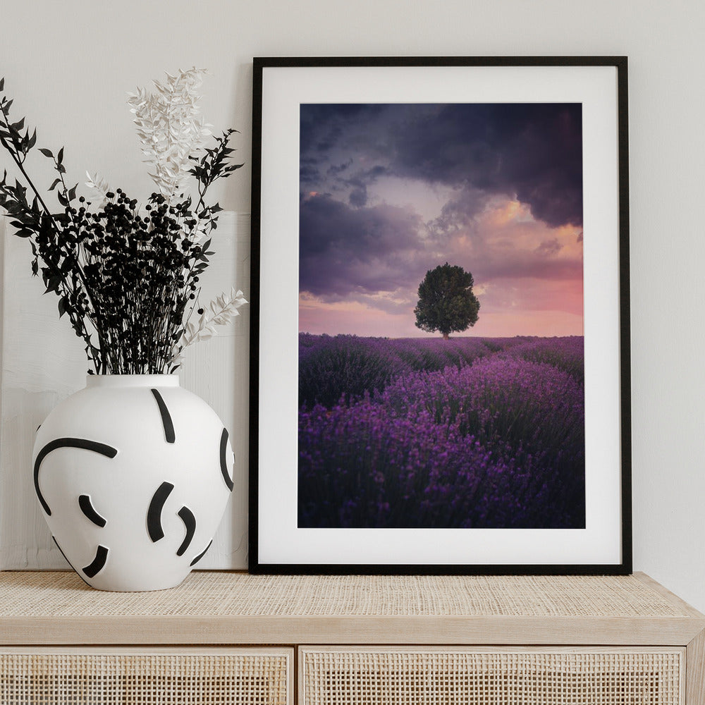 Lavender Fields, Isparta - Art Print by Cuma Cevik
