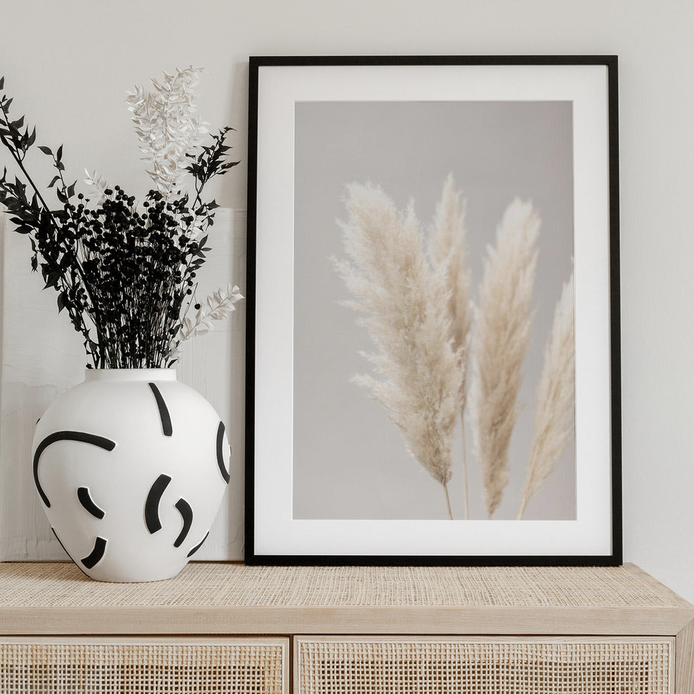 Pampas Grass Grey 02 - Art Print by Pictufy Studio III