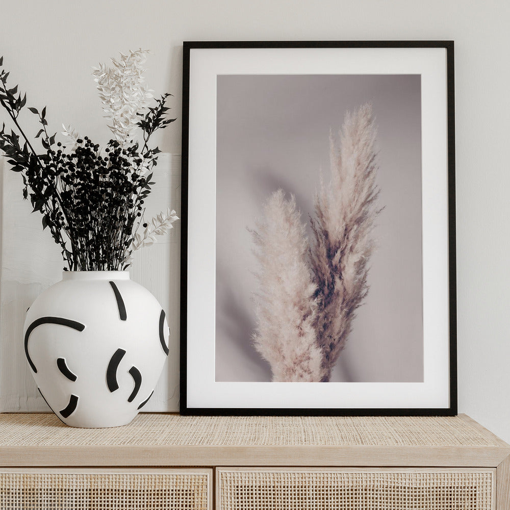 Pampas Grass - Art Print by Pictufy Studio III