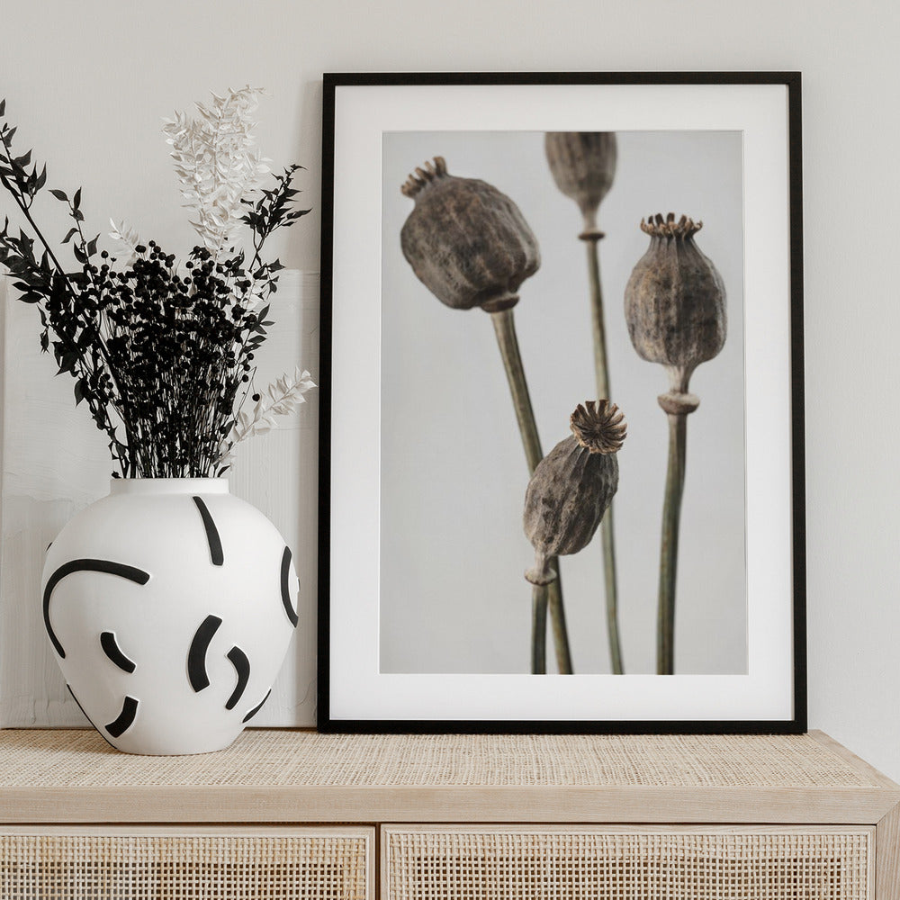 Dried_006 - Art Print by Pictufy Studio III