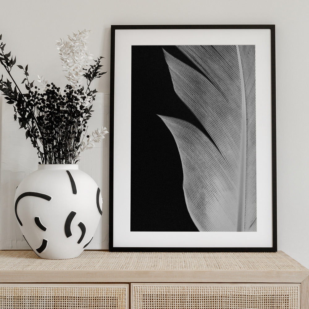 Feather_005 - Art Print by Pictufy Studio III