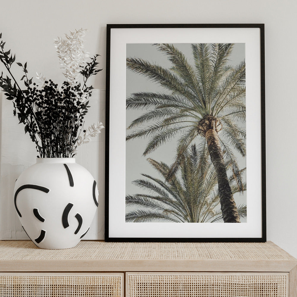 Palm_005 - Art Print by Pictufy Studio III