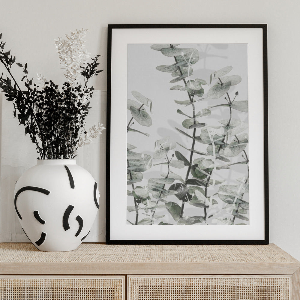 Eucalyptus_001 - Art Print by Pictufy Studio III