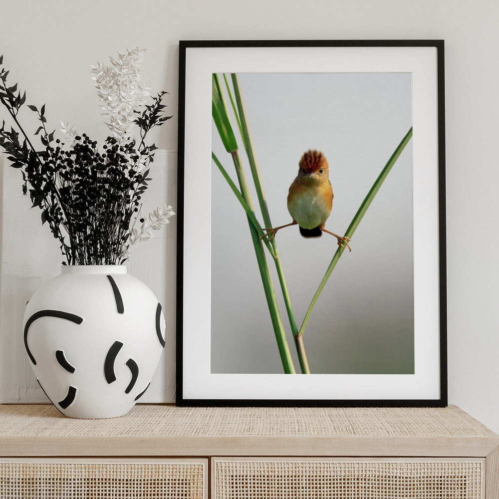 Kung Fu Master - Art Print by Lina Gunawan