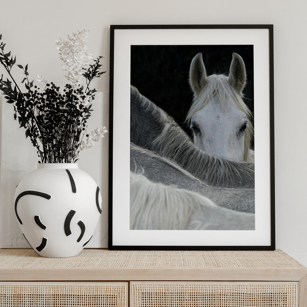 Look - Art Print by Milan Malovrh