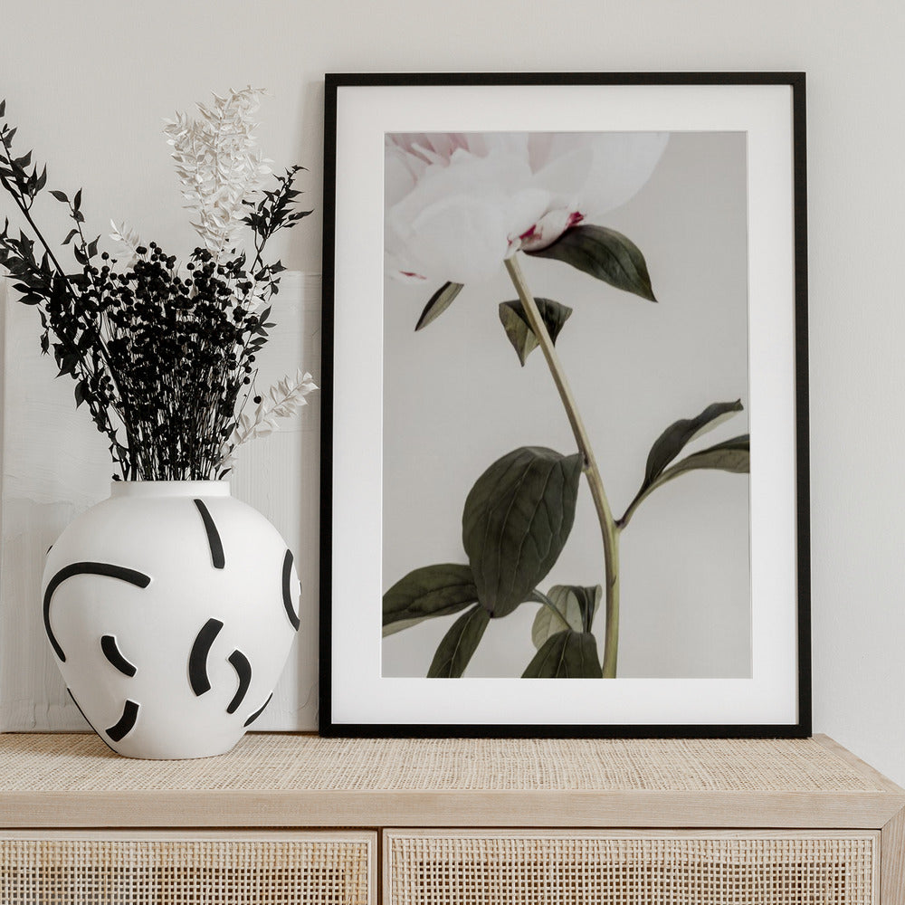 Peony 09 - Art Print by Pictufy Studio III