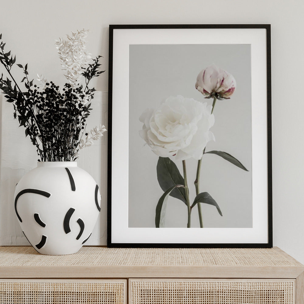 Peony 12 - Art Print by Pictufy Studio III