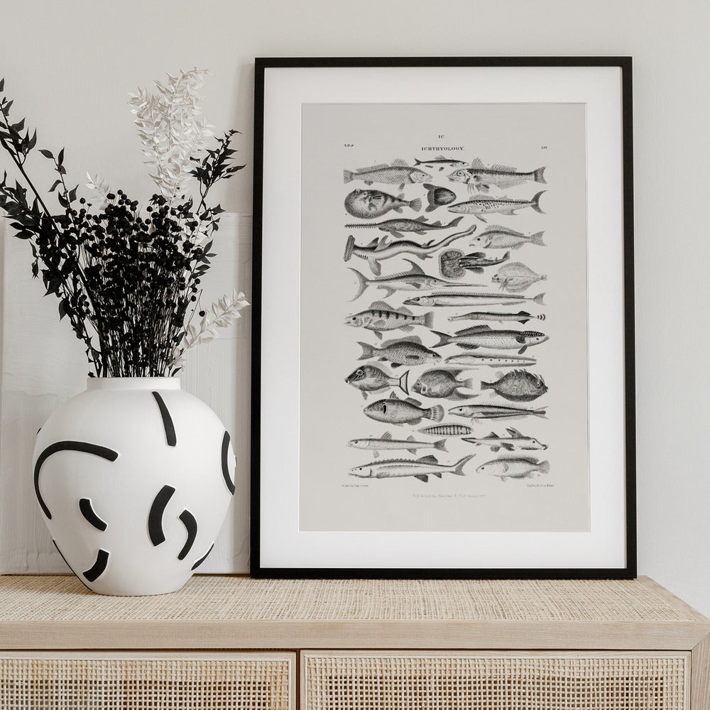 Sealife I - Art Print by Oliver Goldsmith