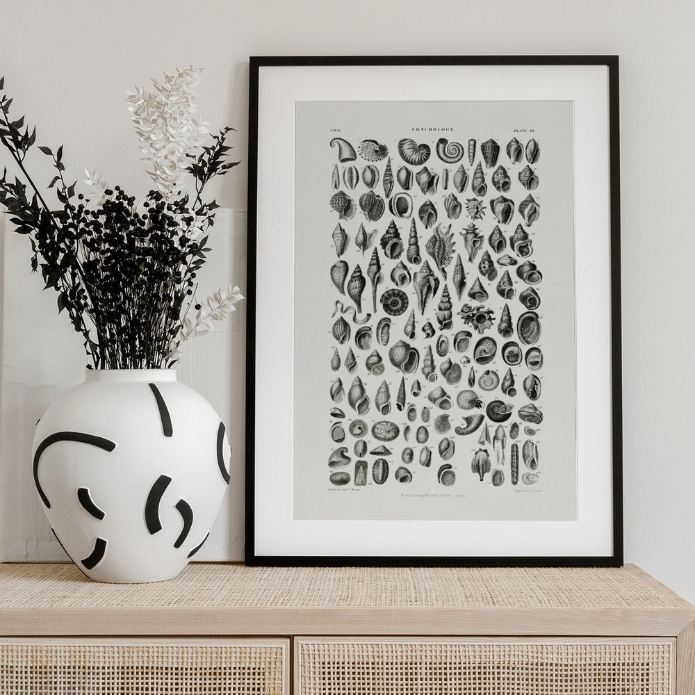 Sealife III - Art Print by Oliver Goldsmith