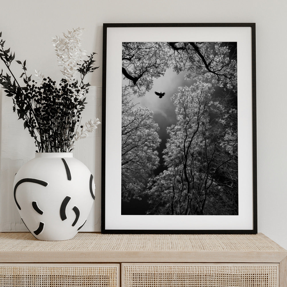 Flight - Art Print by Goran Stamenkovic