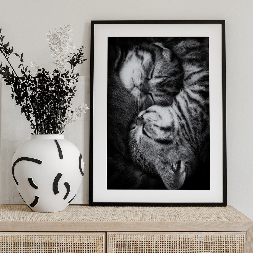 Yin and Yang - Art Print by Andrea Jancova