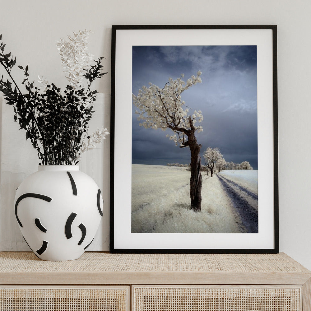 IRenka - Art Print by Piotr Krol (Bax)