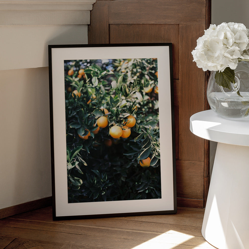 Marrakesh Oranges - Art Print by Raisa Zwart