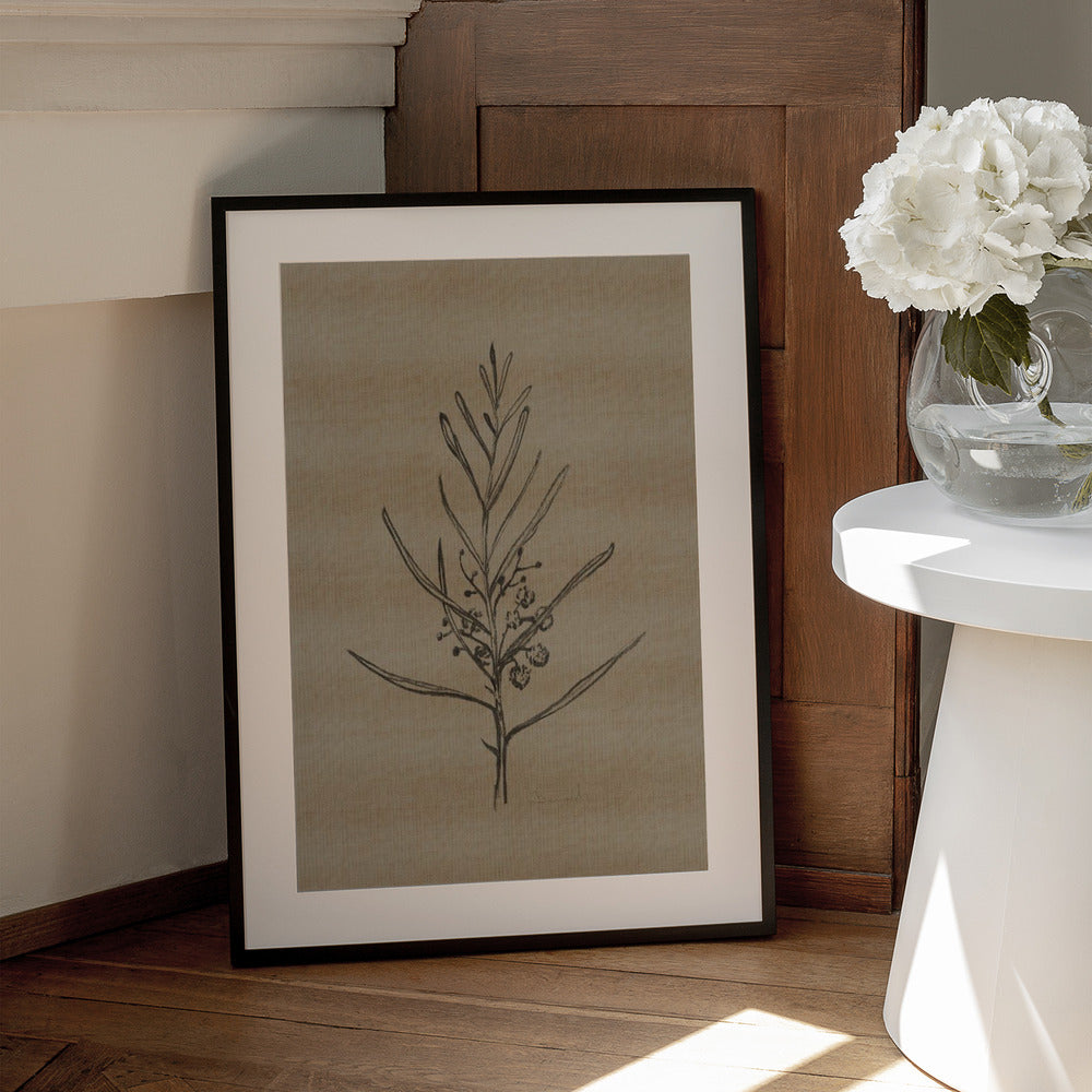 Blackwood Sapling - Art Print by Dan Hobday