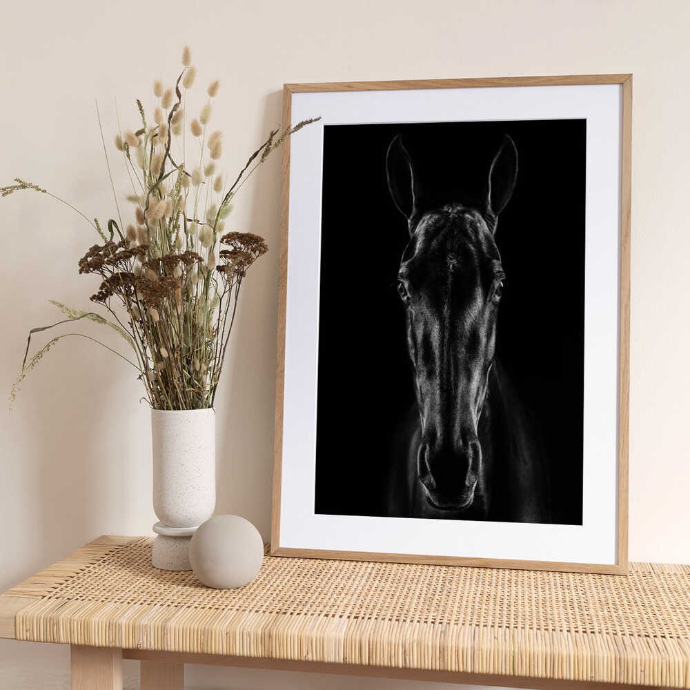 The Horse in Noir 15 - Art Print by Jackson Carvalho