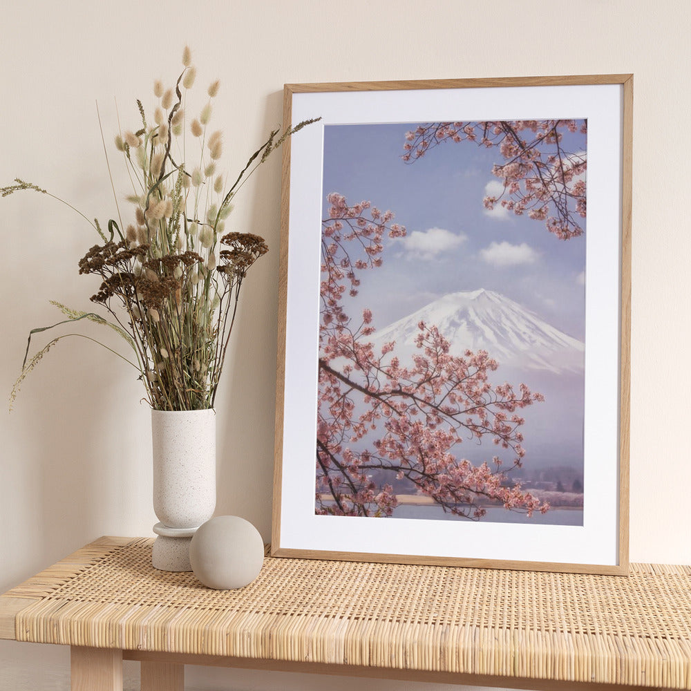 Mt.Fuji in the cherry blossoms - Art Print by Makiko Samejima