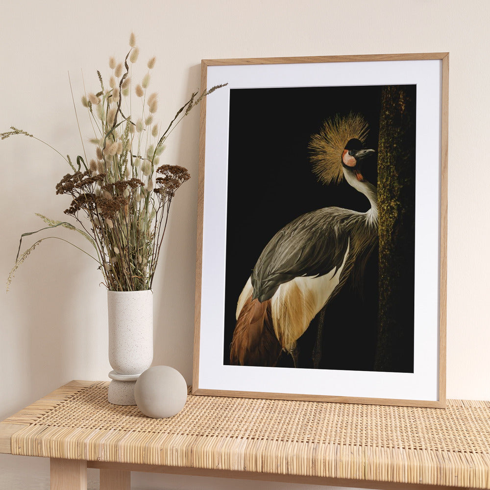 Grey Crowned Crane - Art Print by Jealousy