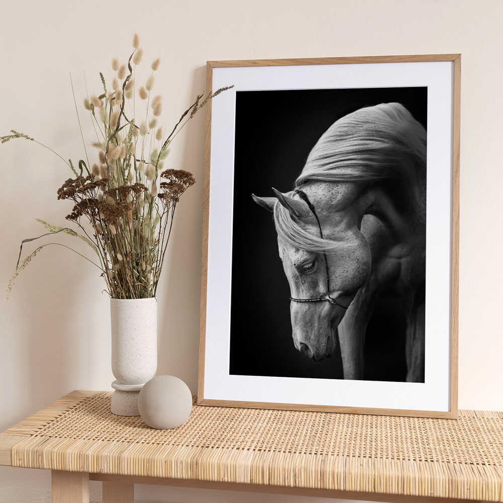 white stallion - Art Print by Ulrike Leinemann