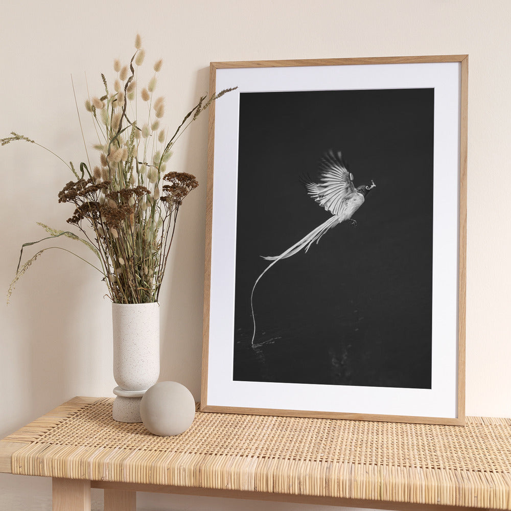 Terpsiphone paradis - Art Print by Mei Hu