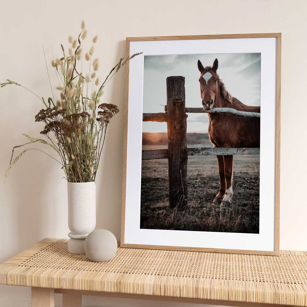 Horse Farm in Skároš, Slovakia - Art Print by Gabriel Jakab