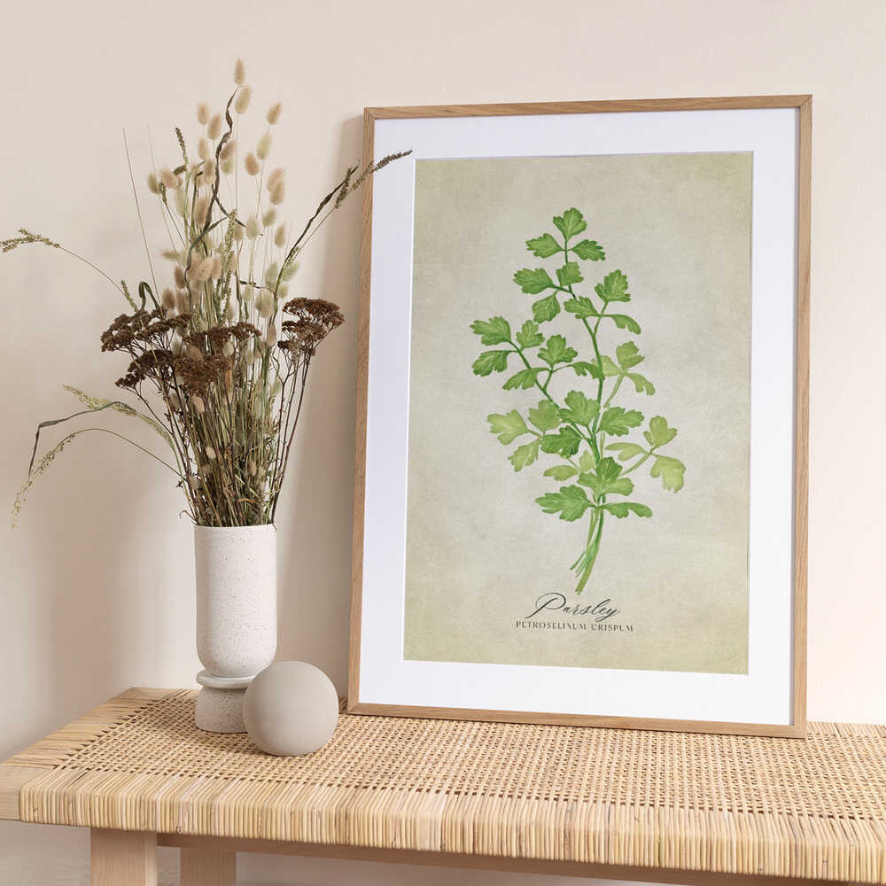 Parsley vintage - Art Print by Rosana Laiz Blursbyai
