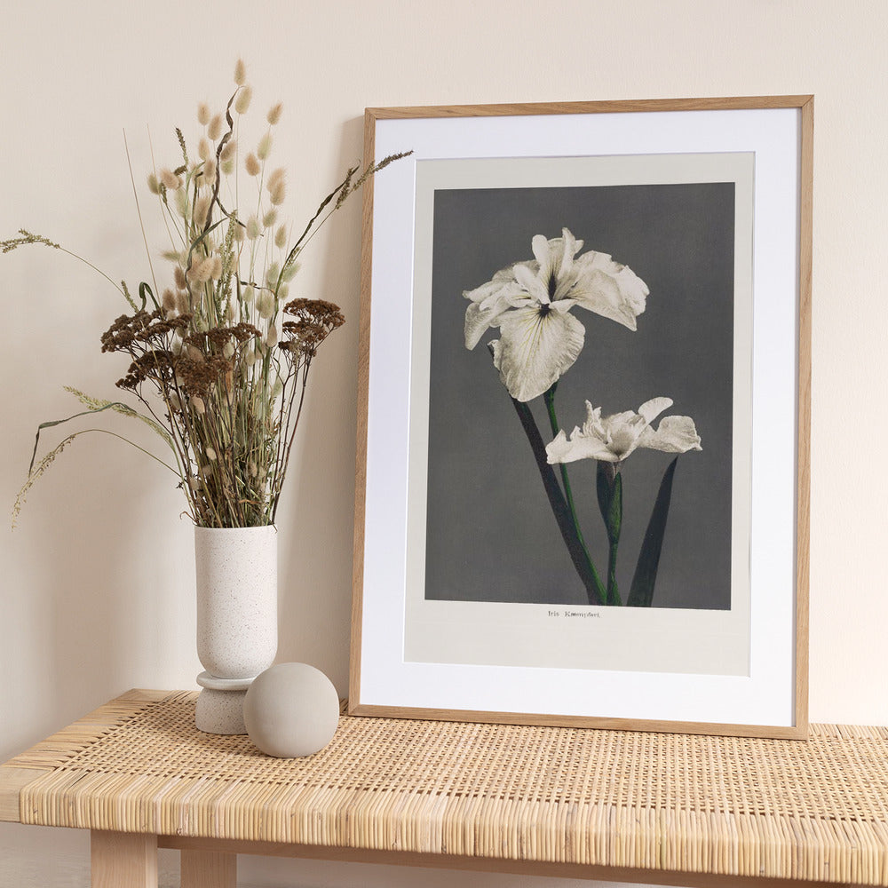 Iris Kæmpferi - Art Print by Ogawa Kazumasa