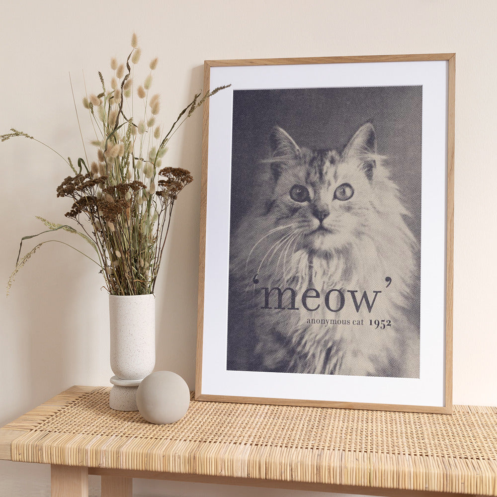 Famous Quote Cat - Art Print by Florent Bodart