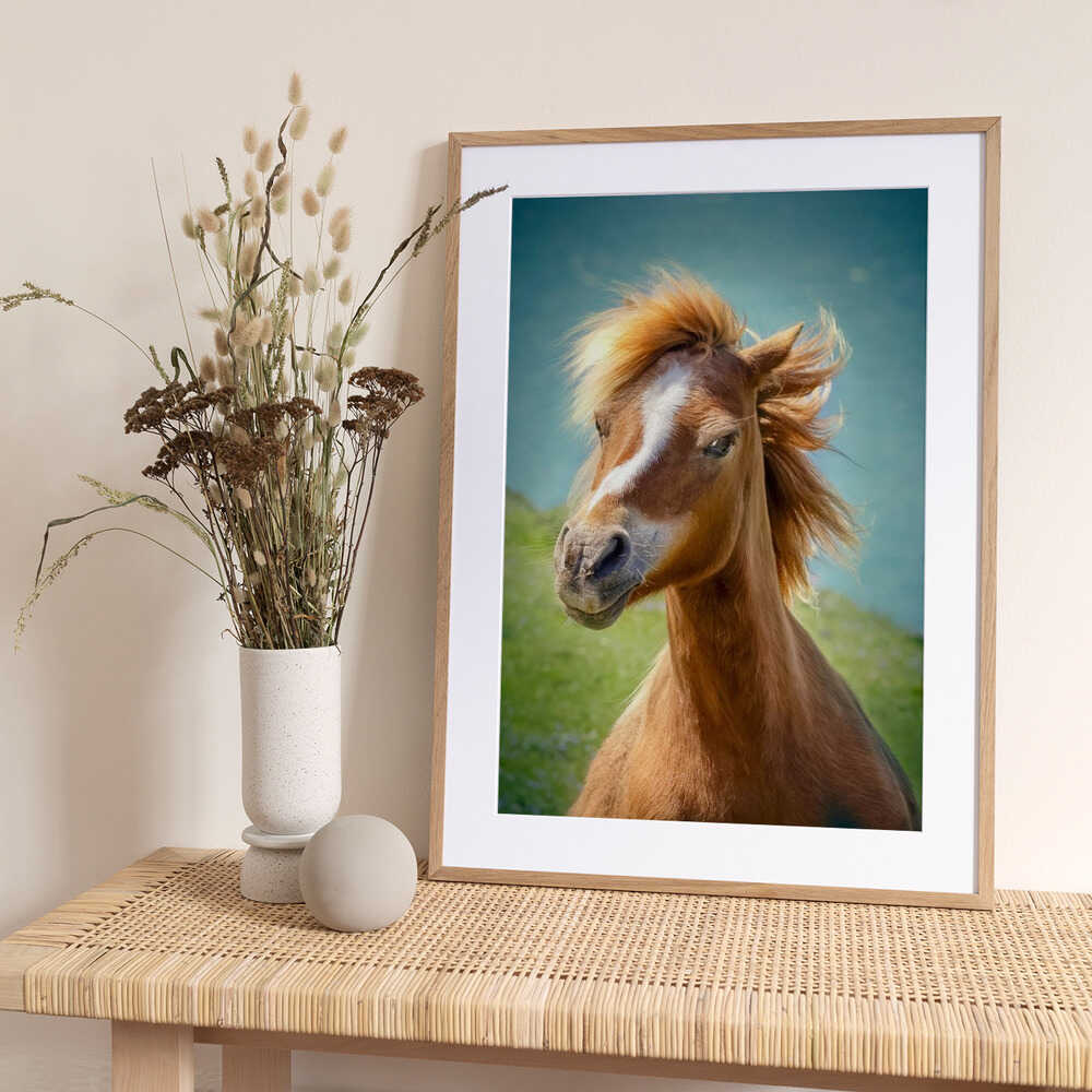 Happy horse - Art Print by Hans Repelnig