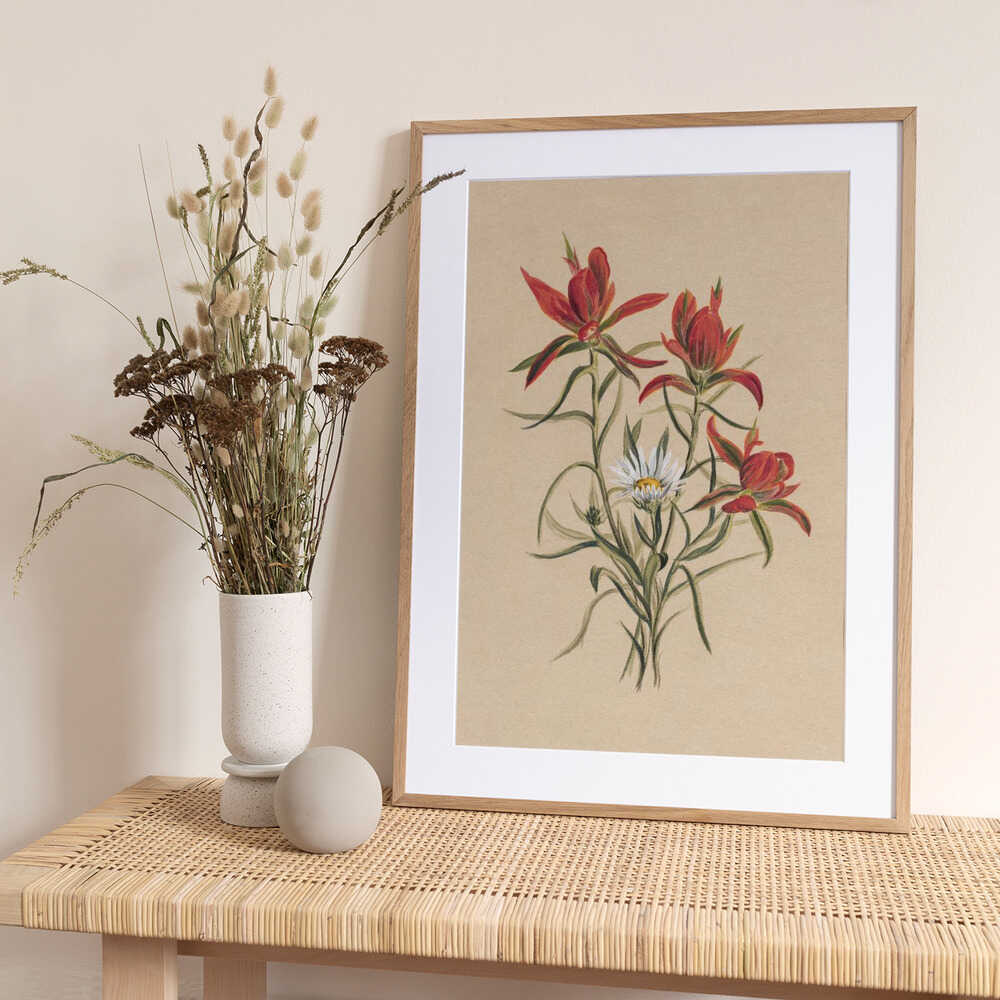 Indian Paintbrush (1883) - Art Print by Mary Vaux Walcott