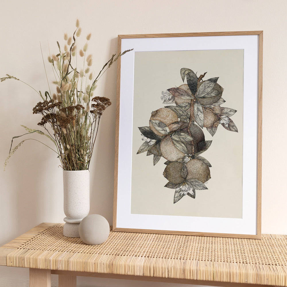 Pomegranate (1867) Rufus King - Art Print by Rufus King