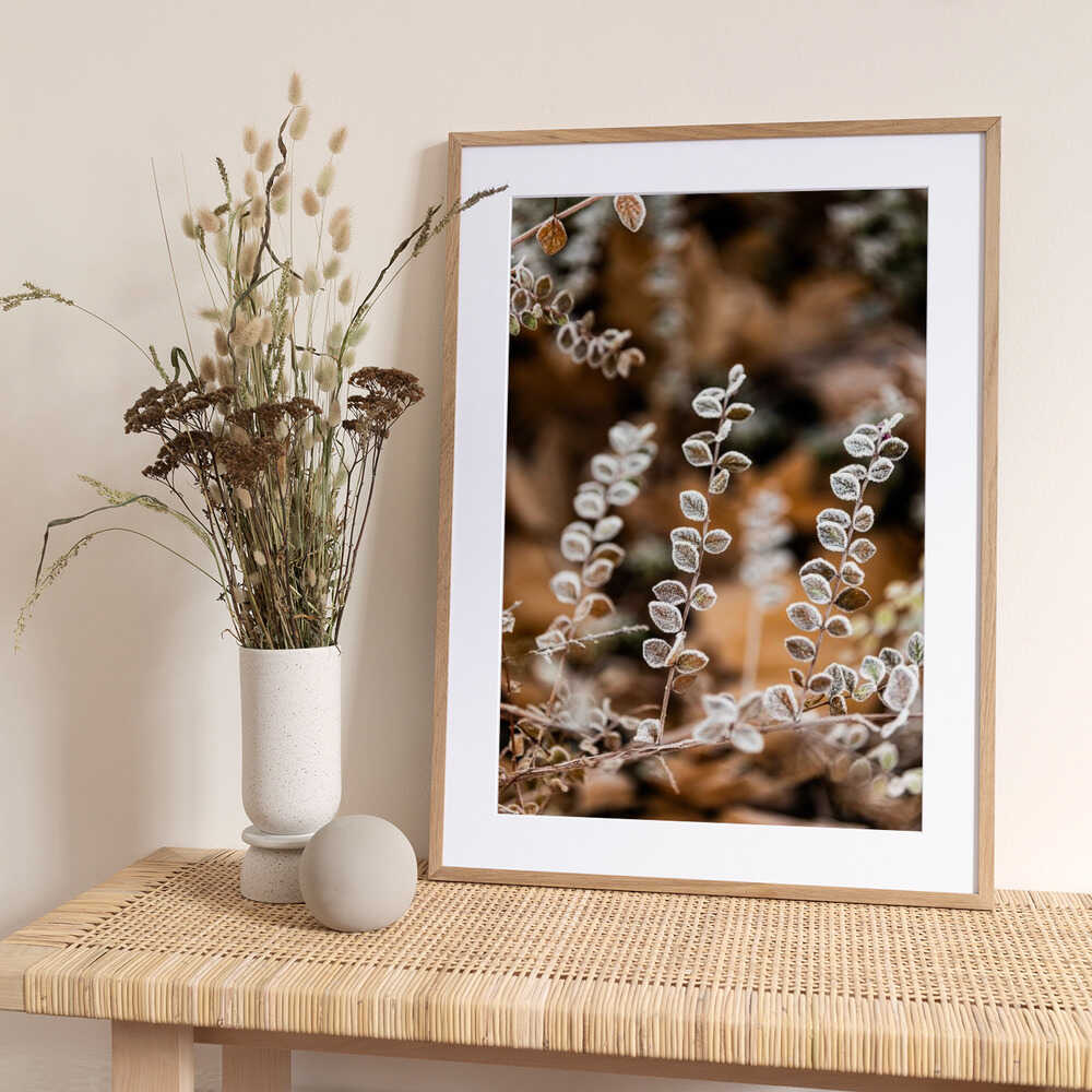 A Winter Morning 2 - Art Print by Mareike Böhmer