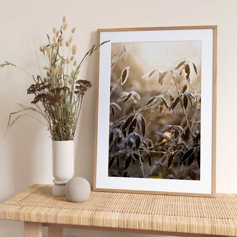 A Winter Morning 6 - Art Print by Mareike Böhmer