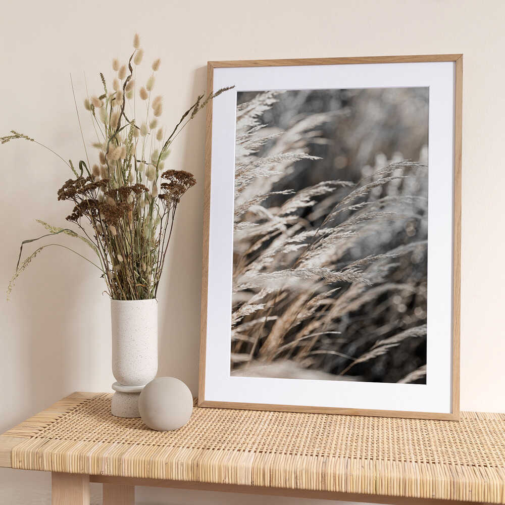 Grass 28 - Art Print by Mareike Böhmer