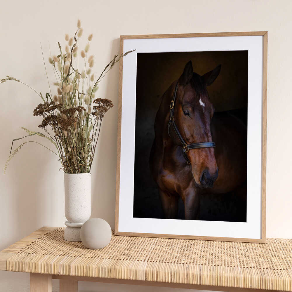 The Horse - Art Print by Hein Jonker
