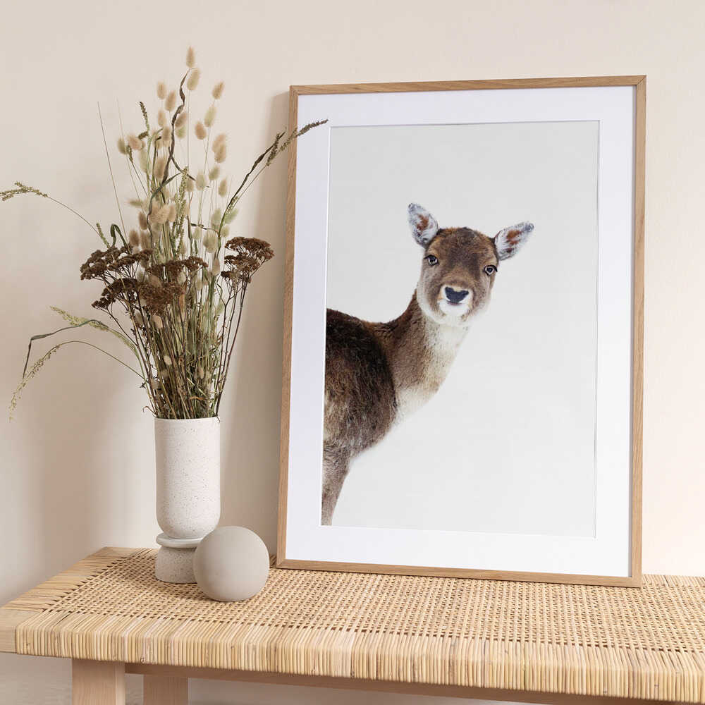Deer Peekaboo White - Art Print by Monika Strigel