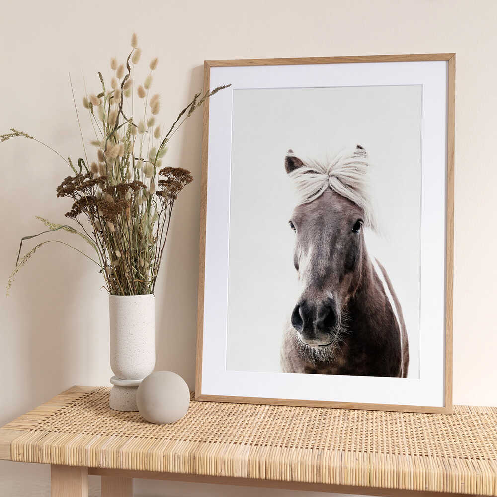 Iceland Horse Lucy - Art Print by Monika Strigel