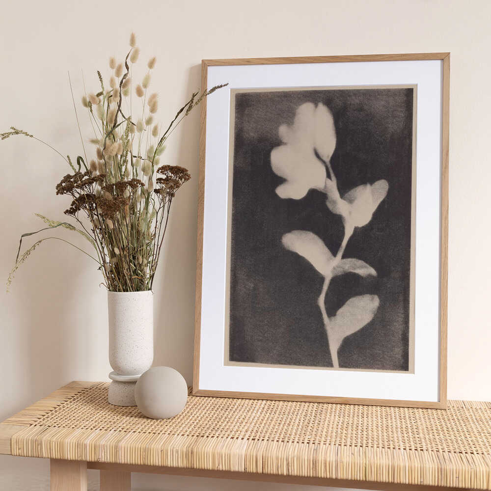 Fadedbloom - Art Print by Treechild