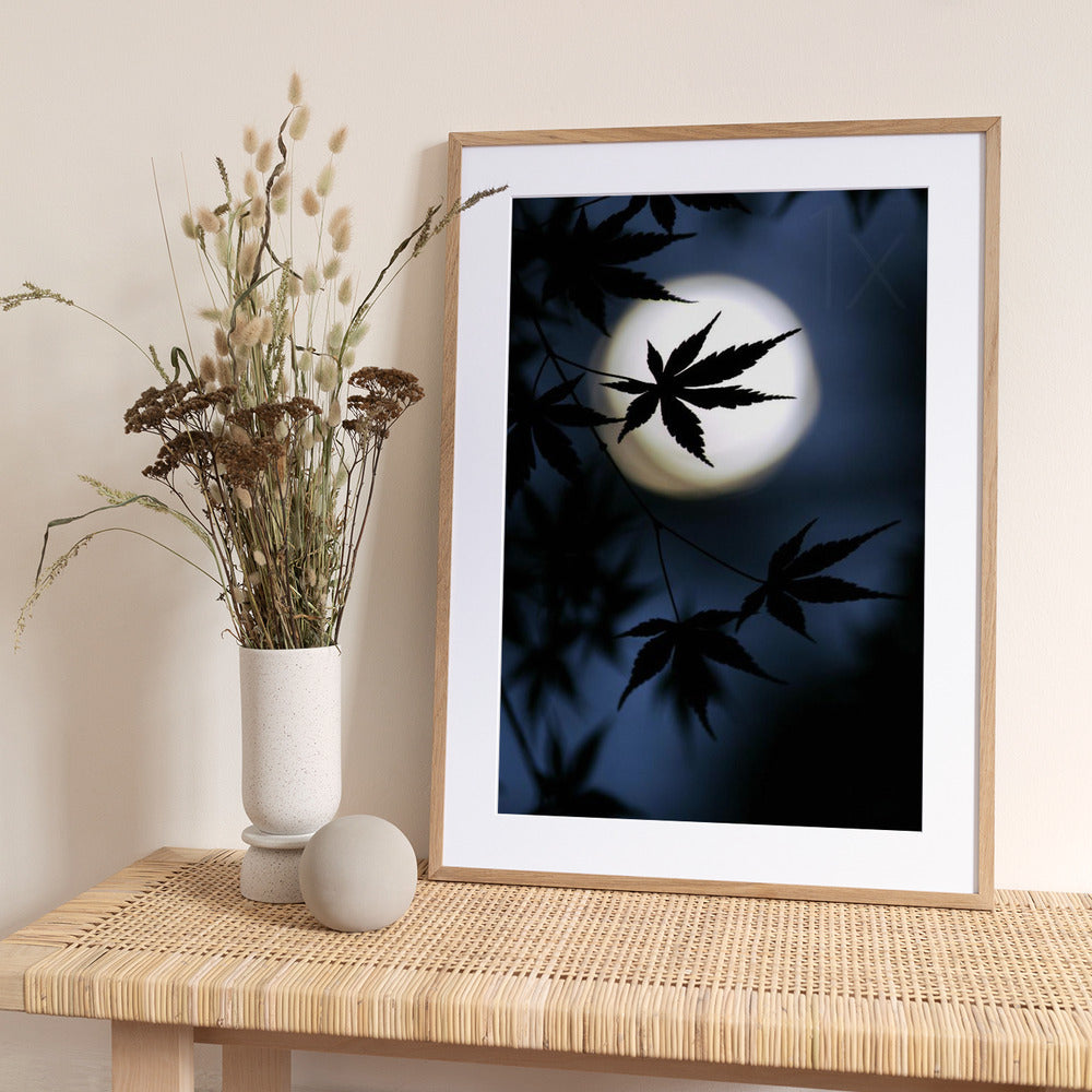 Color of Japan - Art Print by Kouji Tomihisa