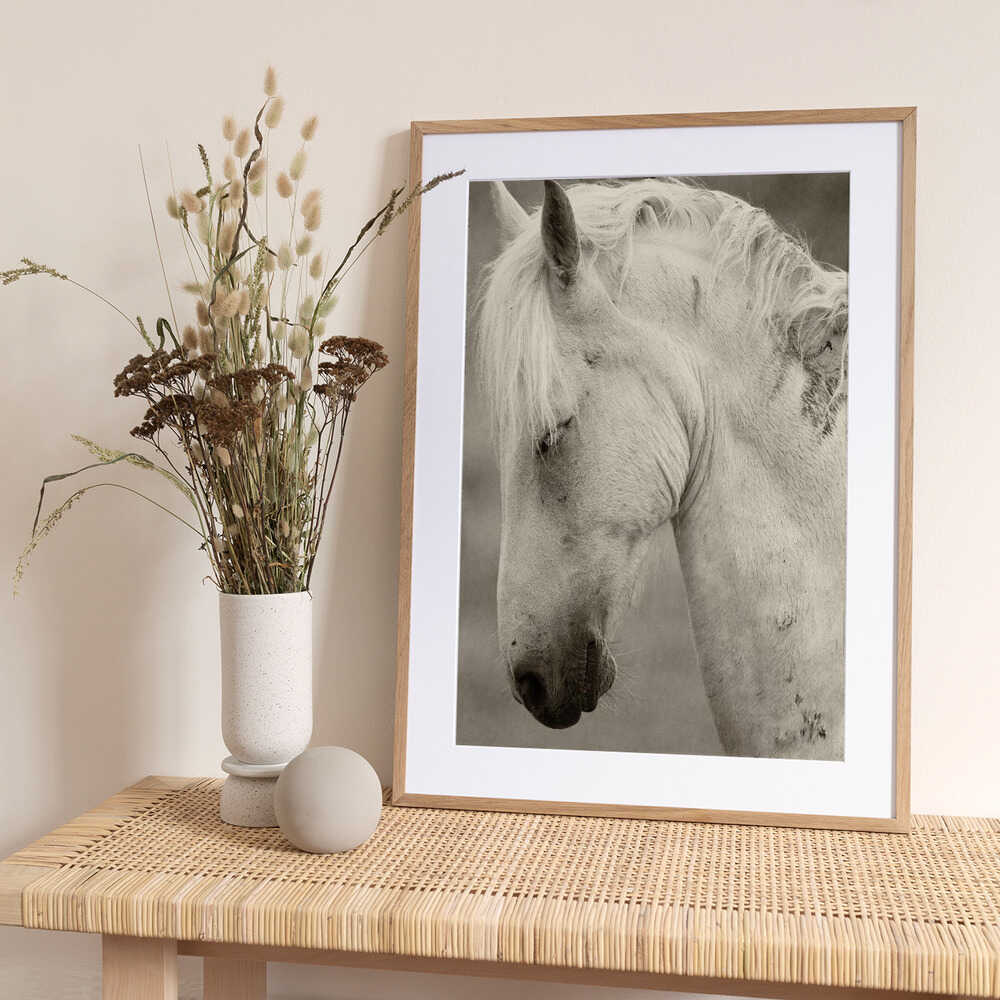 Horse portrait - Art Print by Allan Wallberg