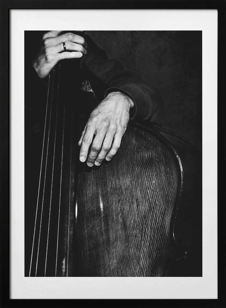 jazz - Photo Art Print by Nicoleta Gabor