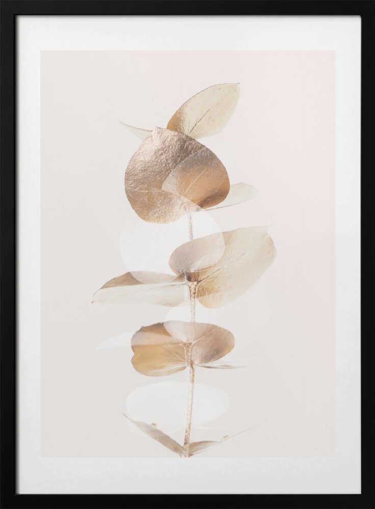 Eucalyptus Creative Gold 04 - Art Print by Pictufy Studio III