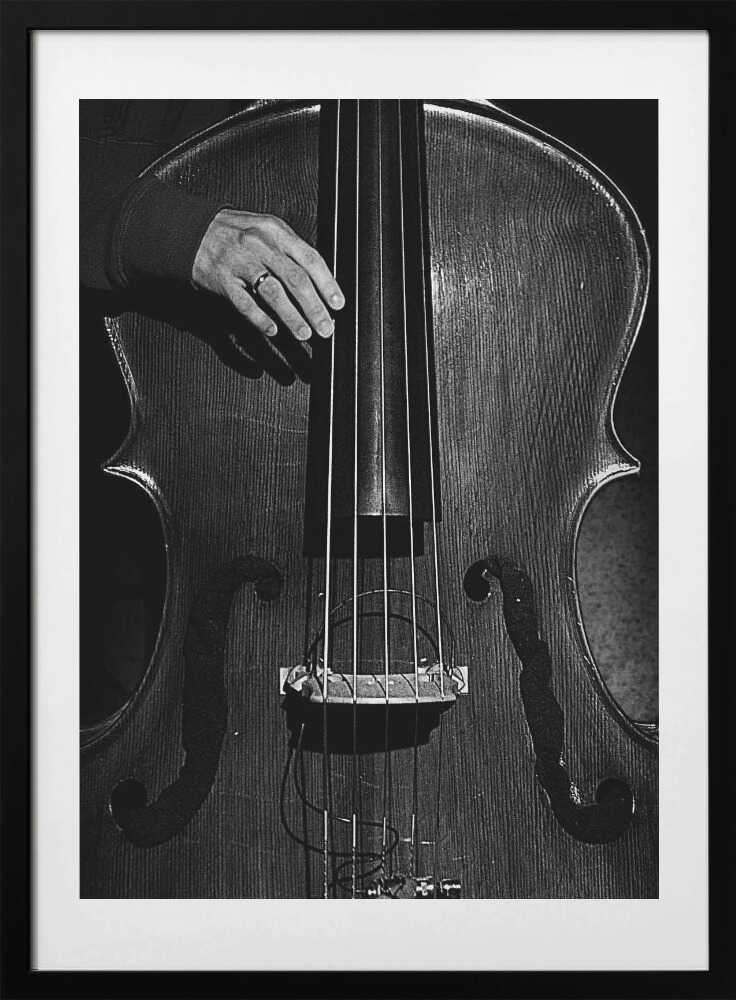 jazz - Photo Art Print by Nicoleta Gabor