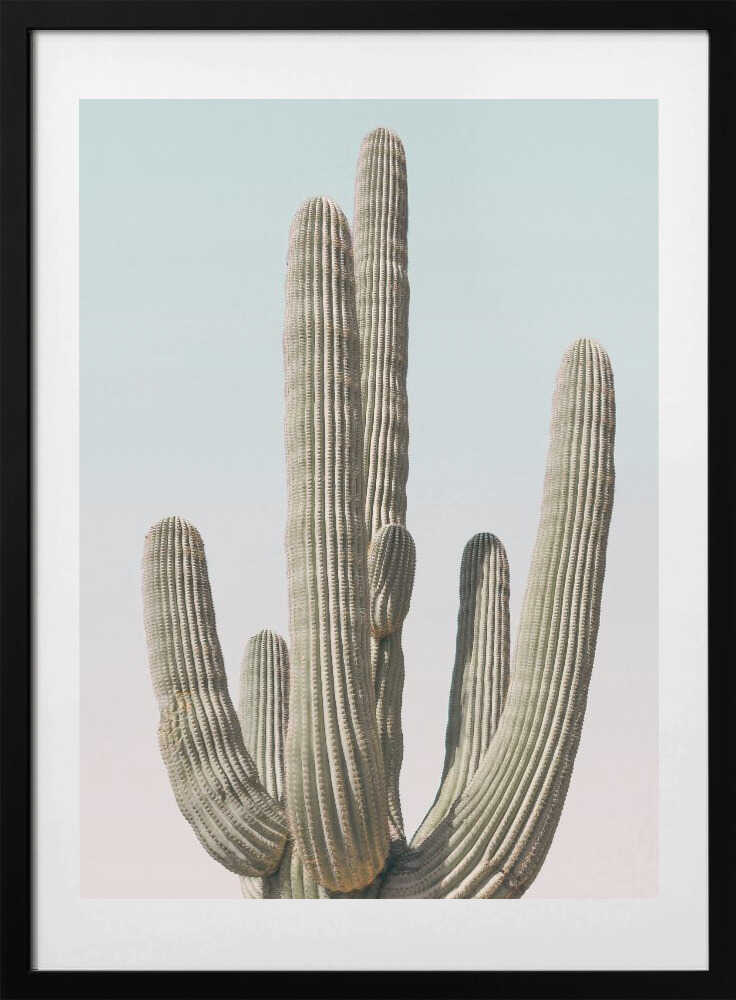 Saguaro - Art Print by Kathrin Pienaar