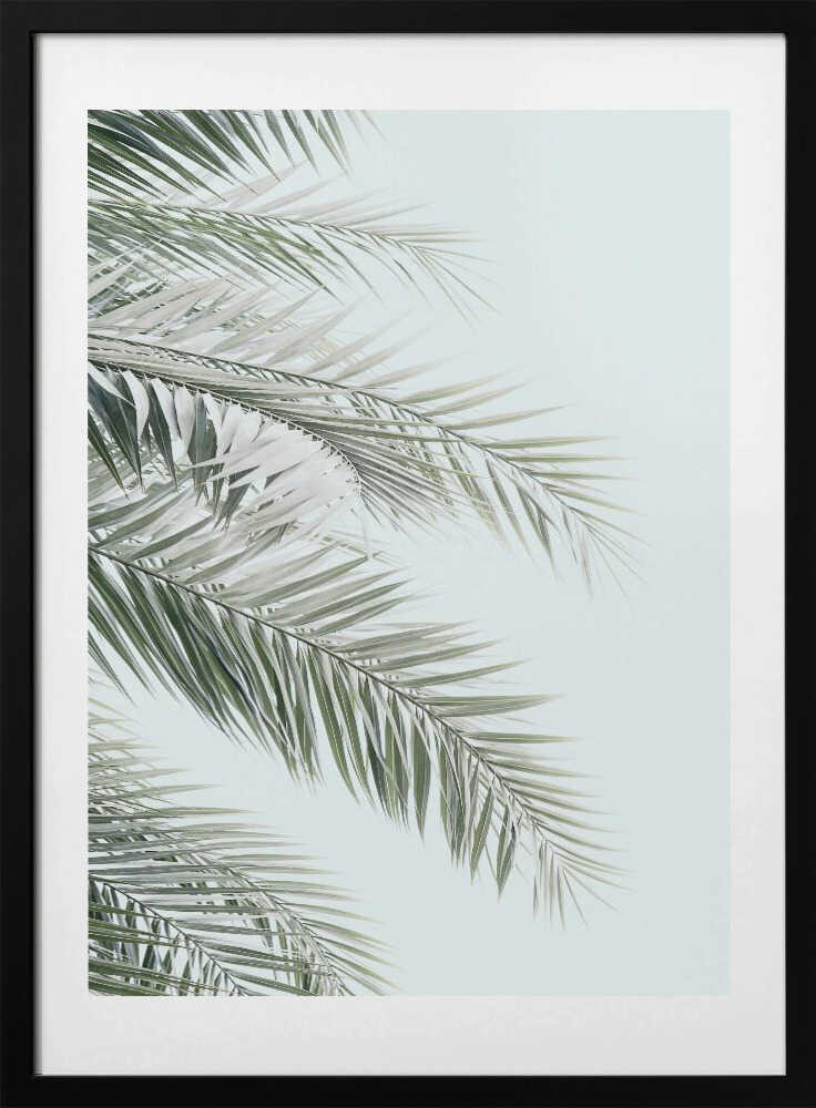 Blue Palms - Art Print by Kathrin Pienaar