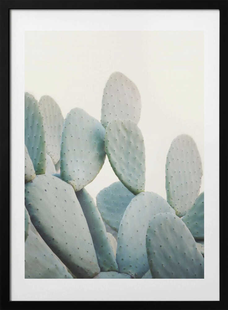 Pastel Cacti - Art Print by Kathrin Pienaar