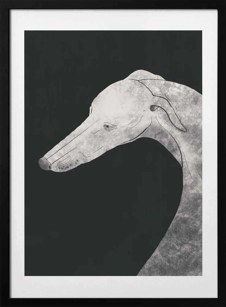 Greyhound black and white 02 - Art Print by Little Dean