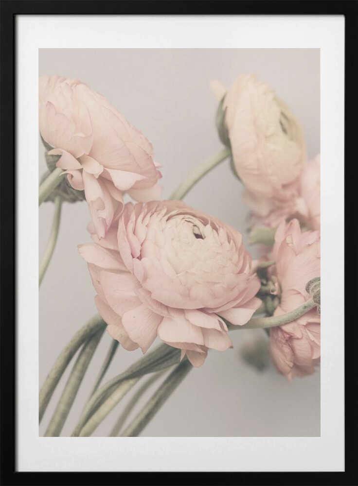 01644 - Art Print by Kathrin Pienaar