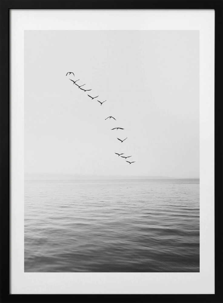 Flying Birds - Art Print by Kathrin Pienaar